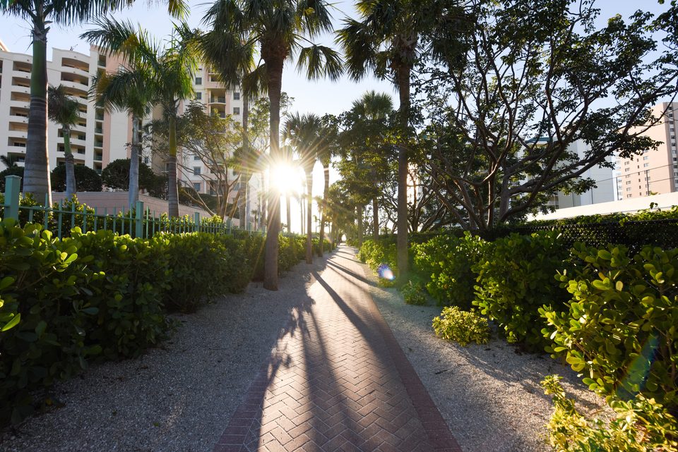 Sunlit brick path through palms and sea grape leading toward the beach on Marco Island